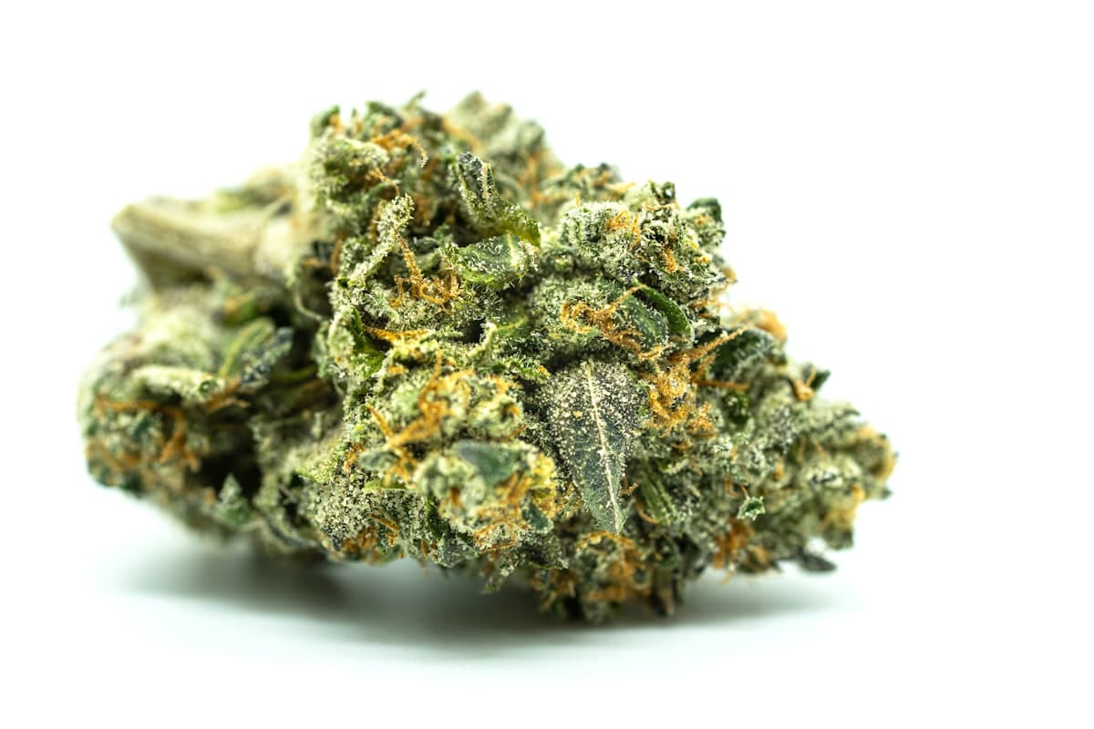 What Even Is Cannabis?
