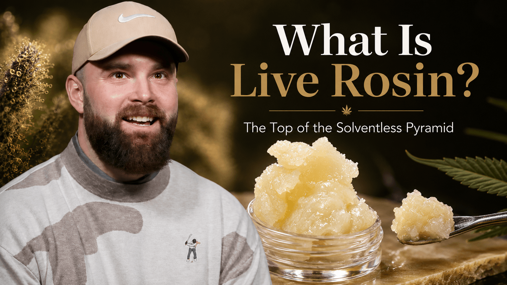 What Is Live Rosin? How It's Made & Why It Costs More