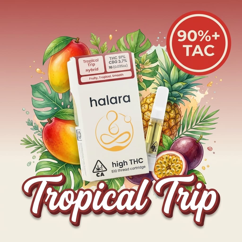 Tropical Trip