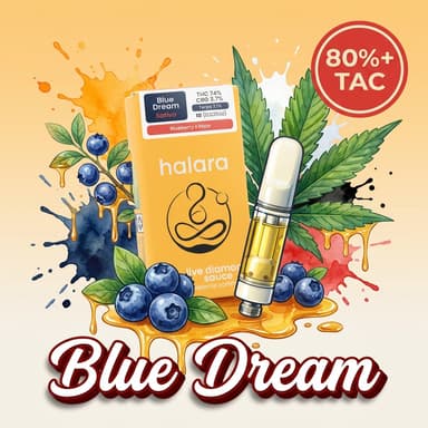 Blue Dream RS