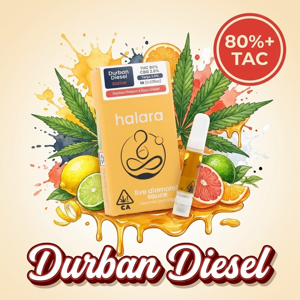 Durban Diesel