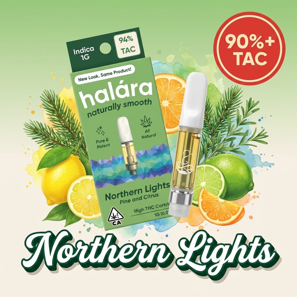 Northern Lights